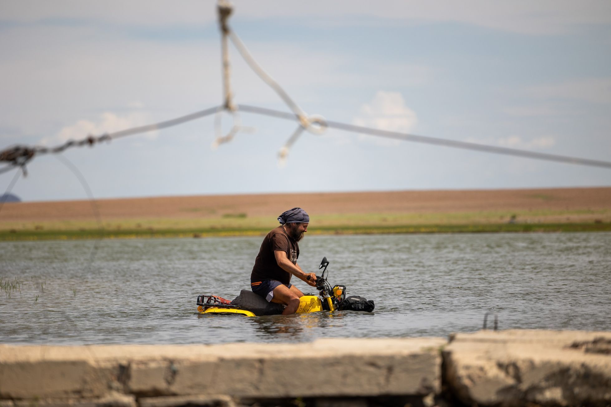 Žlutá žába pluje!