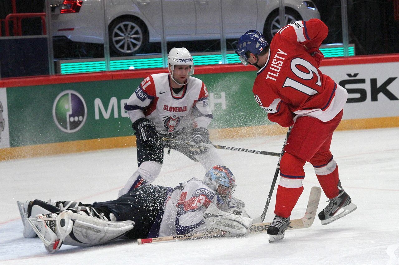 Hokej, MS 2013, Česko - Slovinsko: Jiří Tlustý - Robert Kristan