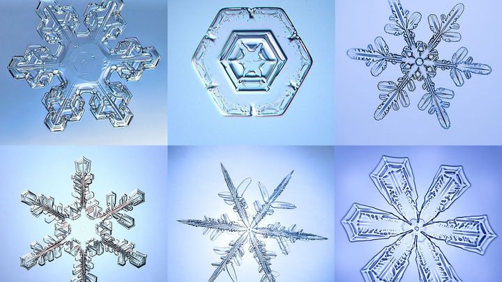 Ledový mikrosvět sněhových vloček. Najdete dvě stejné ve hře pexeso?; Zdroj foto: Shutterstock