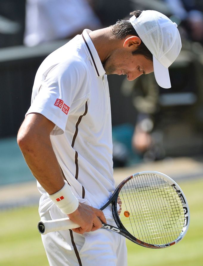 Novak Djokovič ve finále Wimbledonu 2013