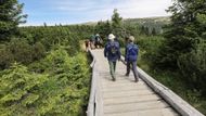 Jednou z nejčastějších chyb, které se turisté v klidových zónách národního parku dopouštějí, je chození mimo vyznačené trasy. To má přitom devastující dopady na místní unikátní přírodu.