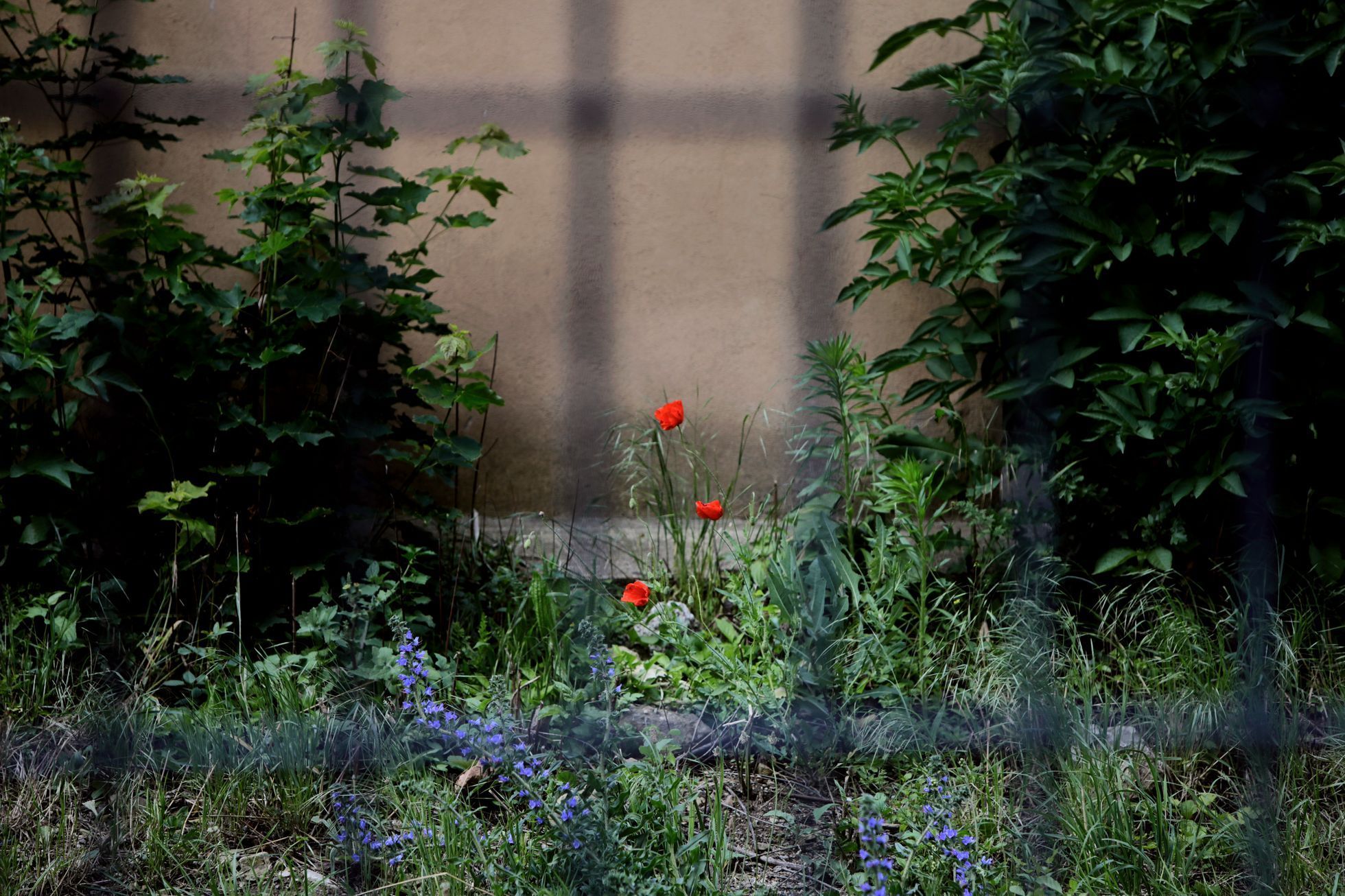 Dětská psychiatrická nemocnice Louny