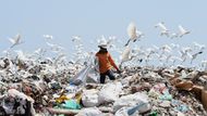 Pracovníci na skládkách třídí odpad a sbírají recyklovatelné materiály. Jsou vystaveni ostrým předmětům, toxickým látkám a biologickým rizikům, například nakažlivým nemocem. Pracují v nesnesitelném zápachu a často v horku nebo dešti. Skládka na předměstí srílanského Kolomba, 20. dubna 2017.