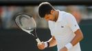 Wimbledon 2007: Novak Djoković