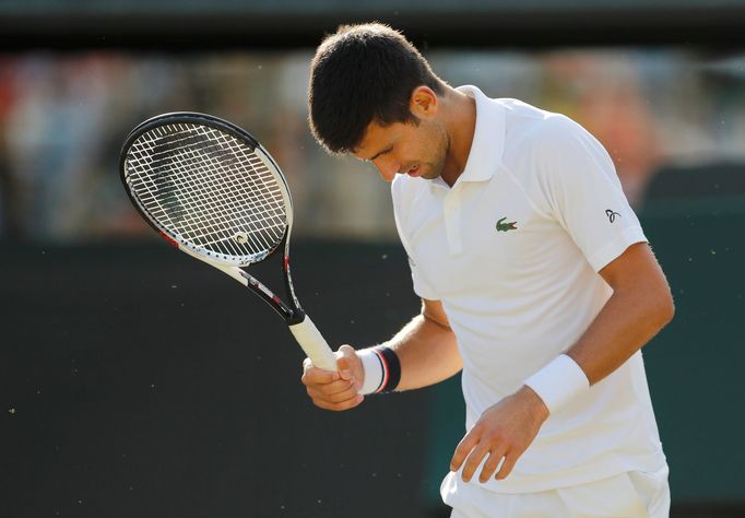 Wimbledon 2007: Novak Djoković