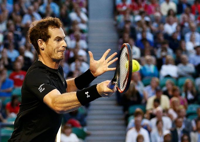 Australian Open 2015: Andy Murray při semifinále s Tomášem Berdychem