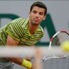 French Open 2014: Grigor Dimitrov