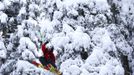 Austrian freeride skier Roman Rohrmoser jumps during a freeride skiing tour on Sonnenkopf mountain in Langen am Arlberg December 10, 2012. Backcountry or freeride skiers ski away from marked slopes with no set course or goals, in untamed snow, generally in remote mountainous areas. Picture taken December 10, 2012. REUTERS/ Dominic Ebenbichler (AUSTRIA - Tags: SPORT SKIING SOCIETY) Published: Led. 21, 2013, 10:18 dop.