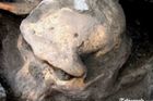 Lebka stará 1,8 milionu let může přepsat učebnice
