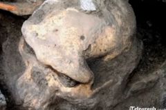 Lebka stará 1,8 milionu let může přepsat učebnice