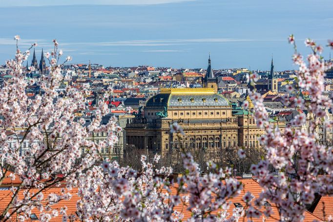 Předčasné jaro v Praze, březen 2024