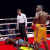 boxerské knockouty roku 2013 (Adonis Stevenson vs. Darnell Boone)
