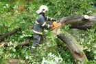 Noční bouřky zasáhly Česko. V Jihomoravském kraji vyjížděli hasiči každých deset vteřin