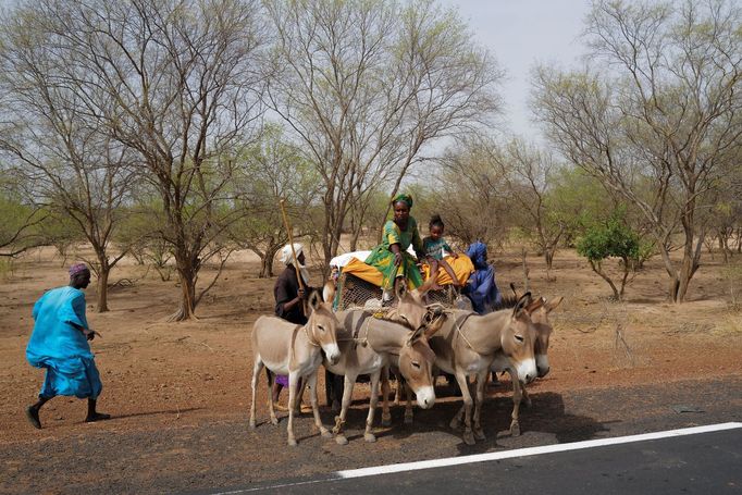 Kruhové zahrady Tolou Keur v Senegalu.