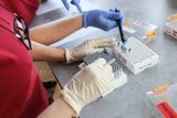 Jsme na místě, kde laboranti a laborantky měří vzorky PCR testů. Firma vyvinula jejich novou generaci. Jmenují se Guardiana a mají být jednak přesnější a pak také díky automatizaci vhodnější pro rychlejší vyhodnocení.