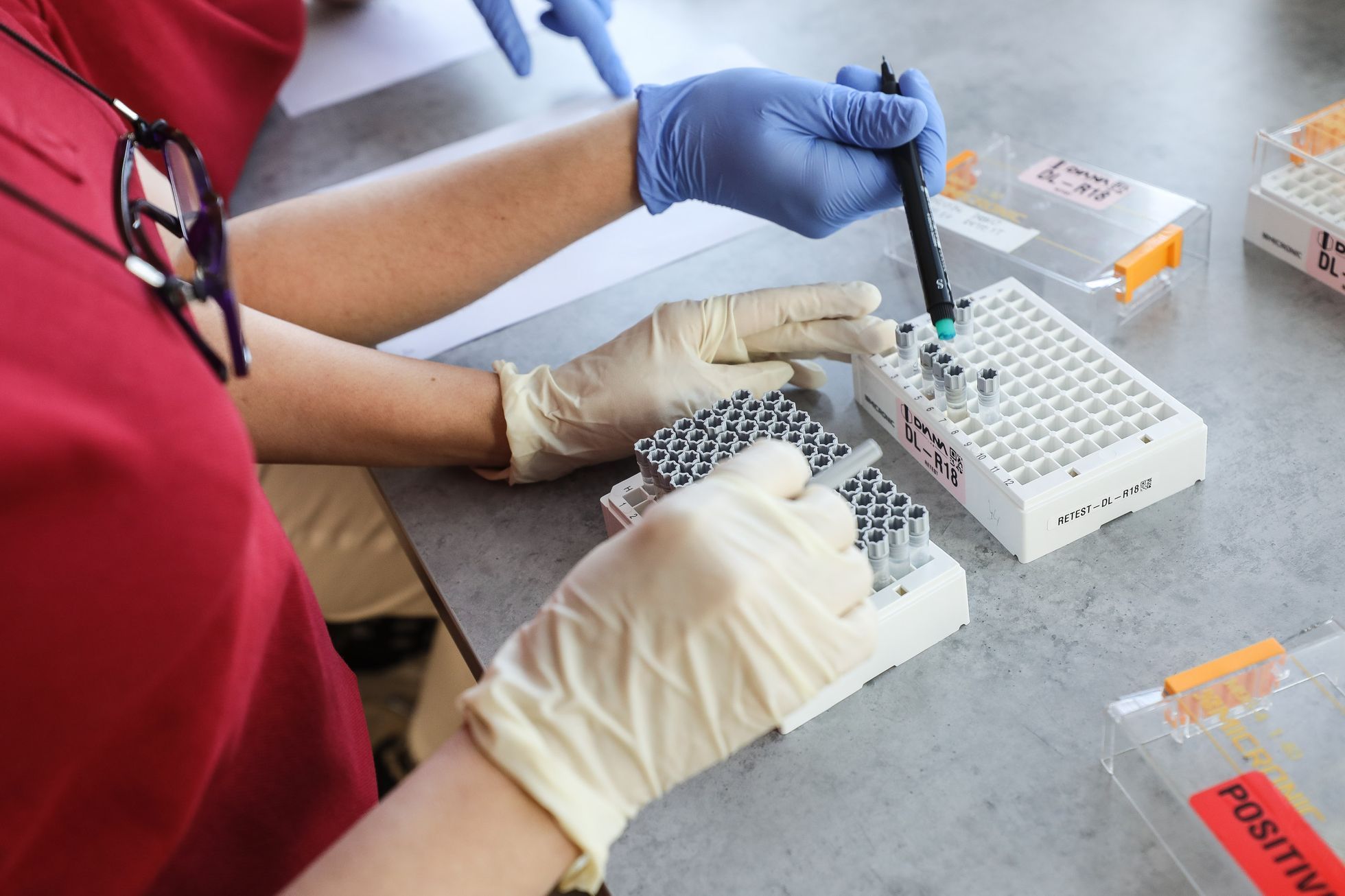 Výrobce PCR testů Diana Biotechnologies, laboratoř, koronavirus, nemoc, testování, laborant