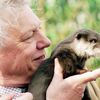 Jednorázové užití / Fotogalerie / Legendární britský přírodovědec David Attenborough slaví 95. narozeniny
