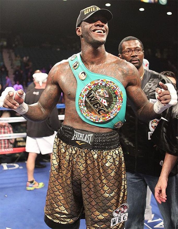 Deontay Wilder vs. Bermane Stiverne