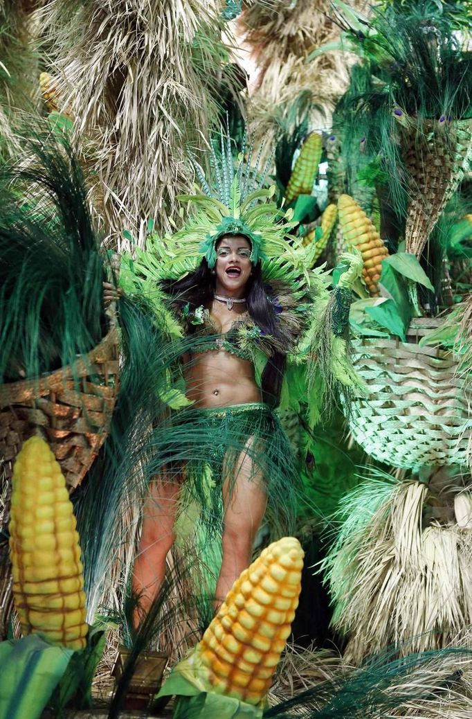 A reveller from the Beija Flor samba school participates during the annual Carnival parade in Rio de Janeiro's Sambadrome, February 11, 2013. REUTERS/Sergio Moraes (BRAZIL - Tags: SOCIETY) Published: Úno. 12, 2013, 3:40 dop.