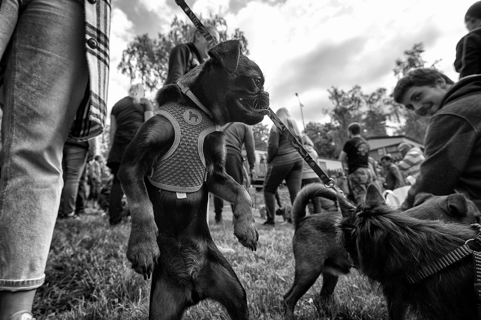 Jan Jirkovský: nejlepší fotografie roku 2022, výroční fotogalerie na Aktuálně.cz