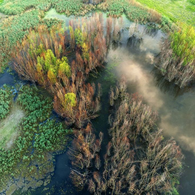 Moravské Slovácko, jižní Morava, fotografie z dronu, fotograf Radek Severa