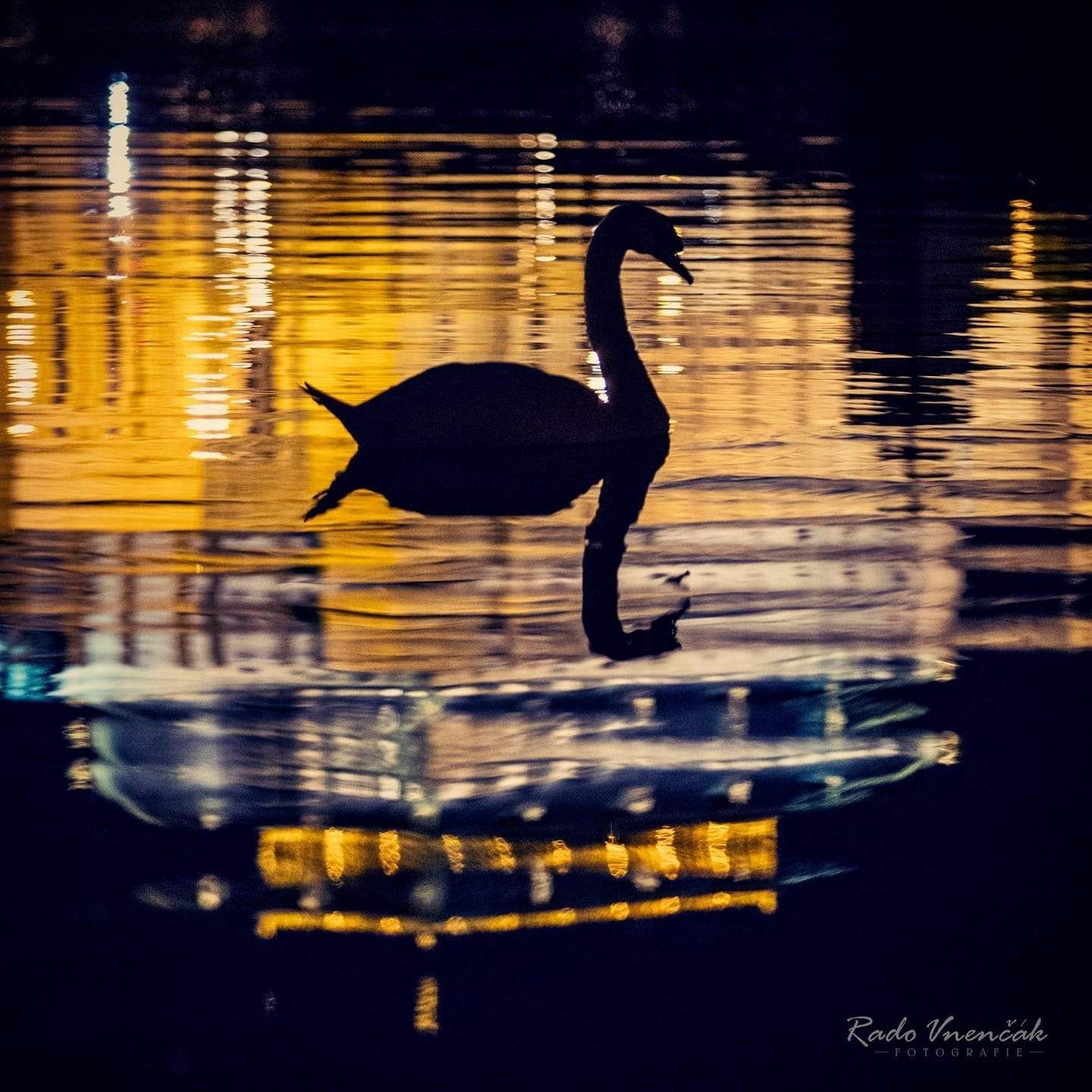 Radoslav Vnenčák: Praha v zrcadle