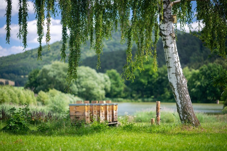 Adapterra Awards - Pestrá krajina na statku Vodňanský