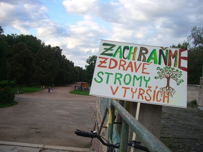 "Zachraňme zdravé stromy v Tyrších," vyzývají organizátoři petice, ale zároveň dodávají: "...není-li tedy už pozdě..."