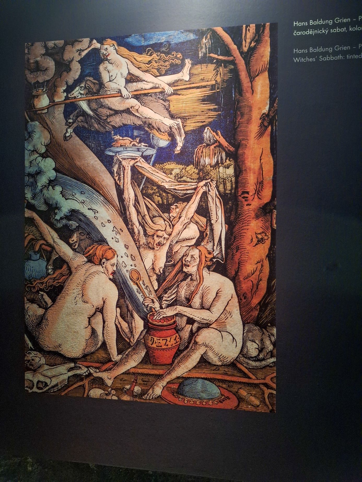 Čarodějnické procesy, čarodějnice, procesy, pálení čarodějnic, historie, Magazín