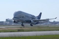 Video: Obří nákladní letoun Beluga XL poprvé vzlétl, připomíná velrybu
