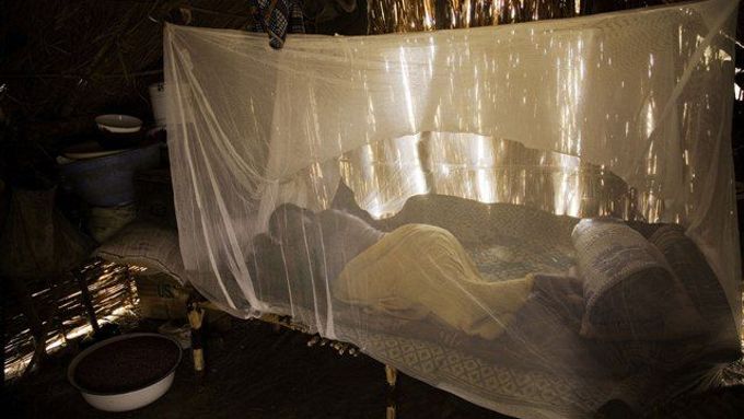 Základní ochranu proti malárii v současné době představují moskytiéry napuštěné insekticidy.
