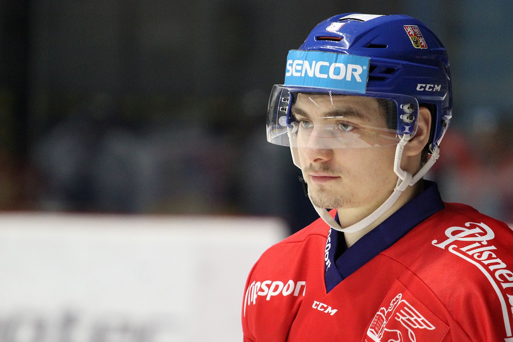 Hokejová reprezentace před MS 2019: David Tomášek