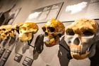 Expozice není jen přehlídkou exponátů ve vitrínách. Vypráví velký příběh lidského rodu, od okamžiku, kdy naši dávní předci sestoupili ze stromů, až po éru moderního člověka, jeho práci, potravu i každodenní život. Nechybí ani nálezy z českého území či evropsky významné archeologické poklady.