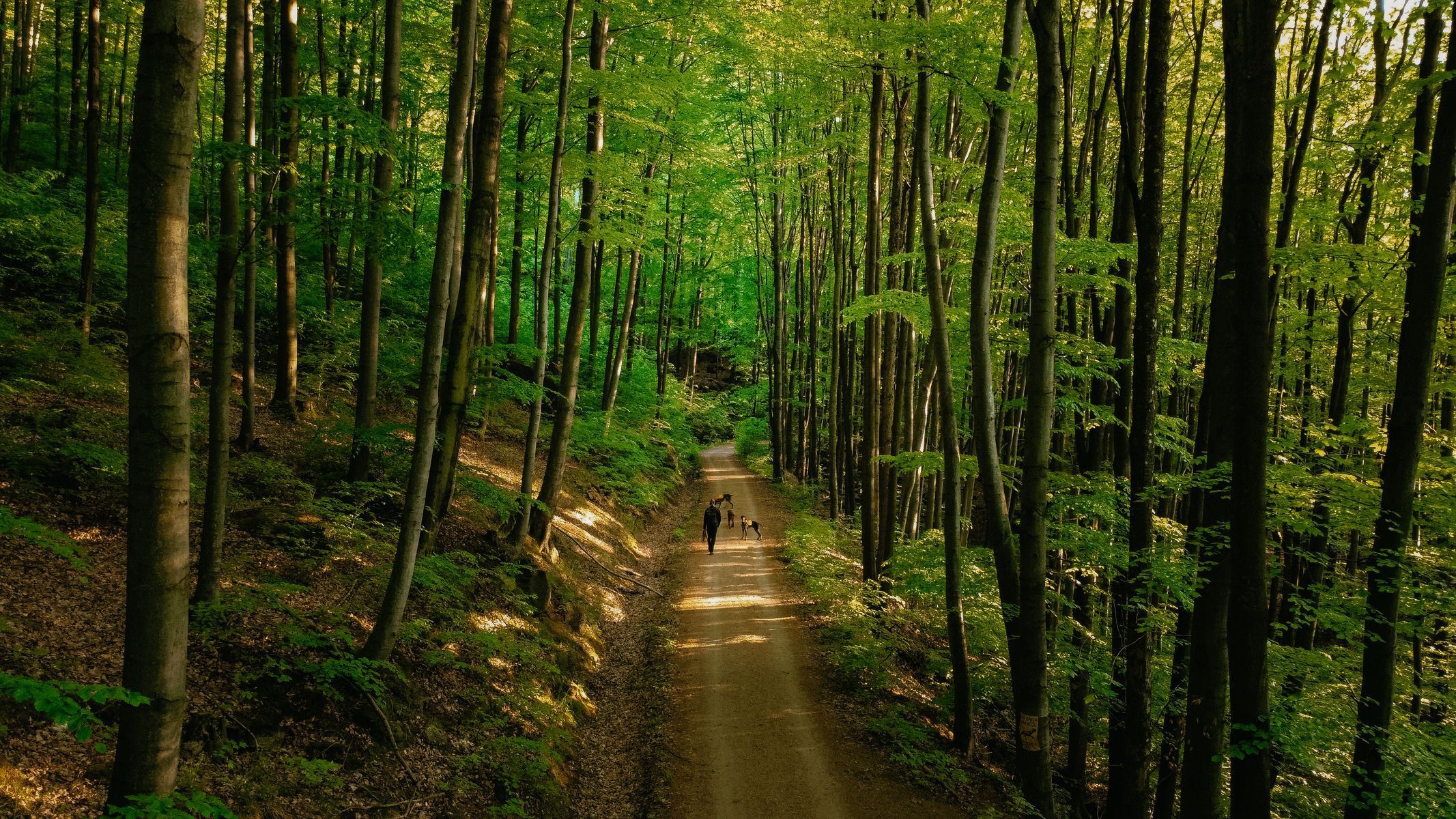 jizerské hory hausmanka