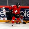 MS v hokeji 2013, Kanada - Švýcarsko: Brenden Dillon - Matthias Bieber
