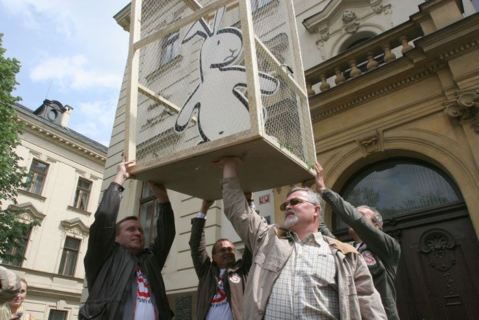 Demonstrace lékařů