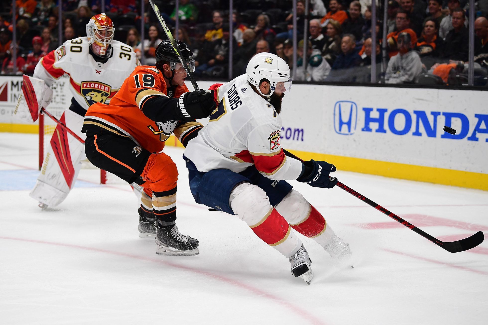 Florida Panthers defenseman Radko Gudas (7) plays for the puck against Anaheim Ducks right wing Troy Terry (19)