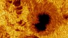 The closest view of a sunspot taken by the Swedish Solar Telescope on La Palma in the Canary Islands. Credit: SST/Royal Swedish Academy of Sciences