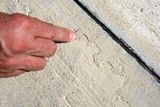Po prořezávání dilatačních spár zůstává na betonu asi milimetrová tvrdá krusta, nanášet na ní barvu, jak se to dotud praktikovalo je vyhazování peněz do pangejtu.