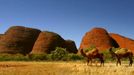 Velbloudi v Kata Tjuta (jinak také Olgas, Mnoho hlav). Kata Tjuta je skupina asi třiceti gigantických dómů ležící 42 km západně od Uluru ve středu australského kontinentu na domorodém území v Severním teritoriu a Národním parku Uluru - Kata Tjuta.