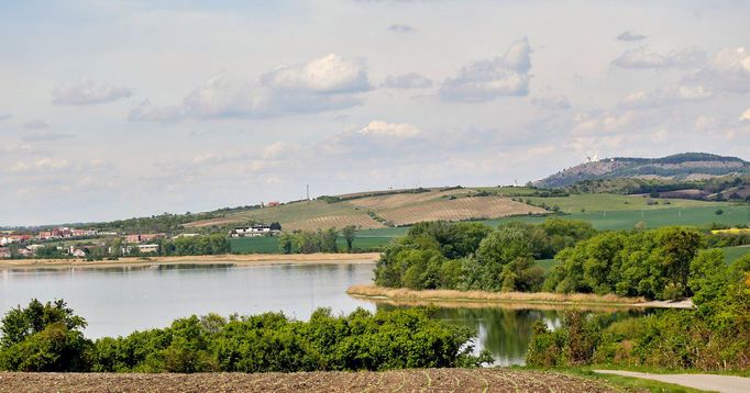 Rybník Nesyt. Národní přírodní rezervace Lednické rybníky na Břeclavsku. Jižní Morava. 30. 4. 2020