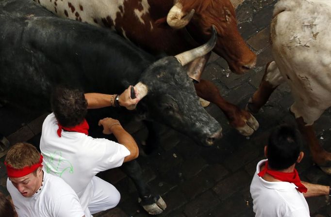 A runner grabs the horn of a Dolores Aguirre fighting bull on Santo Domingo hill during the first running of the bulls of the San Fermin festival in Pamplona July 7, 2012. A runner was gored in the leg during the run that lasted two minutes and fifty three seconds, according to local media. REUTERS/Susana Vera (SPAIN - Tags: SOCIETY ANIMALS) Published: Čec. 7, 2012, 7:13 dop.