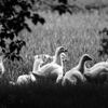 Week of Life - Jan Vrba - 11. 6. 12 - 5