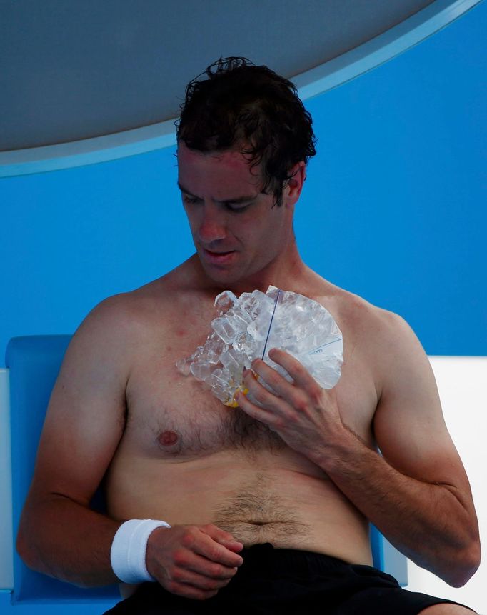 Richard Gasquet na Australian Open 2014