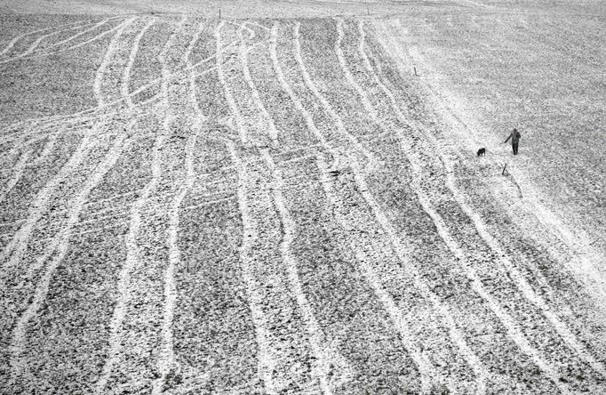 A person walks with a dog in a field covered with snow near Bulle November 29, 2012. REUTERS/Denis Balibouse (SWITZERLAND - Tags: ENVIRONMENT) Published: Lis. 29, 2012, 2:55 odp.