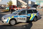 Poměr mezi kombíky a liftbacky je zhruba třetina ku dvěma třetinám ve prospěch liftbacků. Kombíky používají například jednotky, které s sebou vozí psy.