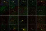 Tento snímek je výsledkem ročního úsilí sondy WISE. A kohosi v NASA ve photoshopu, kdo poskládal všech dvacet zachycených komet, které WISE vyfotografovala, do jediného obrázku.