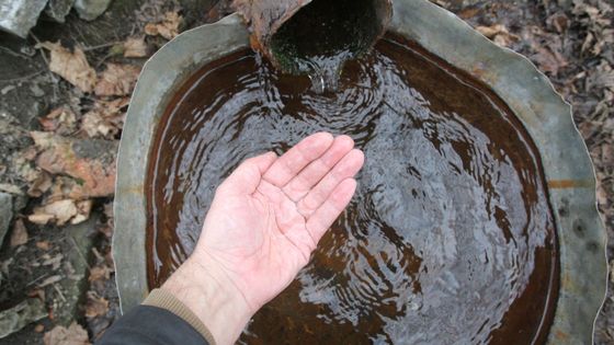 FOTO Pražské studánky nezmizely. Požívejte s rozvahou