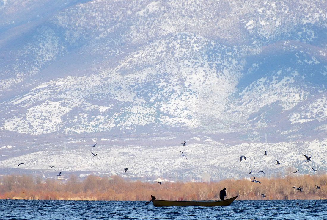 Nejlepší snímky Reuters na pomoc dětem - série Zvířata, příroda, panorama