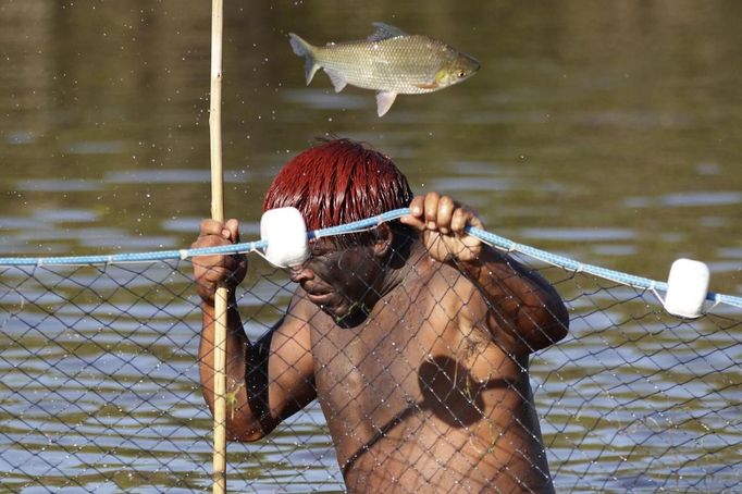 A Yawalapiti man fishes in the Tuatuari River to feed the guests of this year's 'quarup,' a ritual held over several days to honour in death a person of great importance to them, in the Xingu National Park, Mato Grosso State, August 15, 2012. This year the Yawalapiti tribe honoured two people - a Yawalapiti Indian who they consider a great leader, and Darcy Ribeiro, a well-known author, anthropologist and politician known for focusing on the relationship between native peoples and education in Brazil. Picture taken August 15, 2012. REUTERS/Ueslei Marcelino (BRAZIL - Tags: SOCIETY ENVIRONMENT ANIMALS) FOR EDITORIAL USE ONLY. NOT FOR SALE FOR MARKETING OR ADVERTISING CAMPAIGNS. ATTENTION EDITORS - PICTURE 12 OF 37 FOR THE PACKAGE 'THE YAWALAPITI QUARUP RITUAL' Published: Srp. 29, 2012, 10:20 dop.